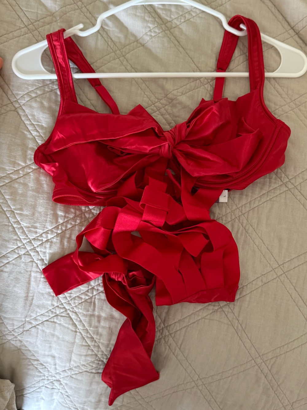 Adore Me Red Satin lingerie
